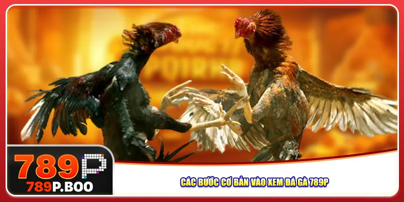 Các bước cơ bản vào xem đá gà 789p