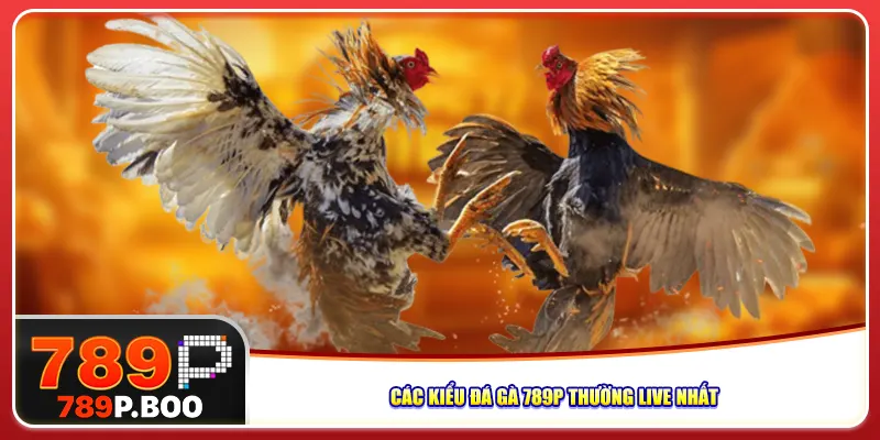 Các kiểu đá gà 789p thường live nhất